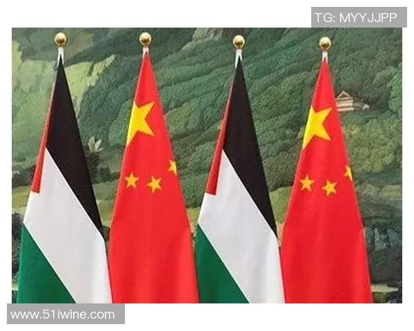 中国与巴勒斯坦足球彩票对决分析及投注策略探讨